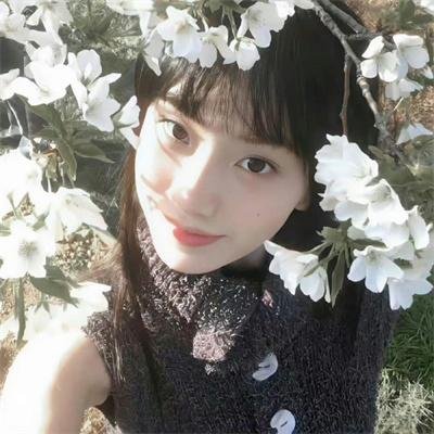 香车绮梦